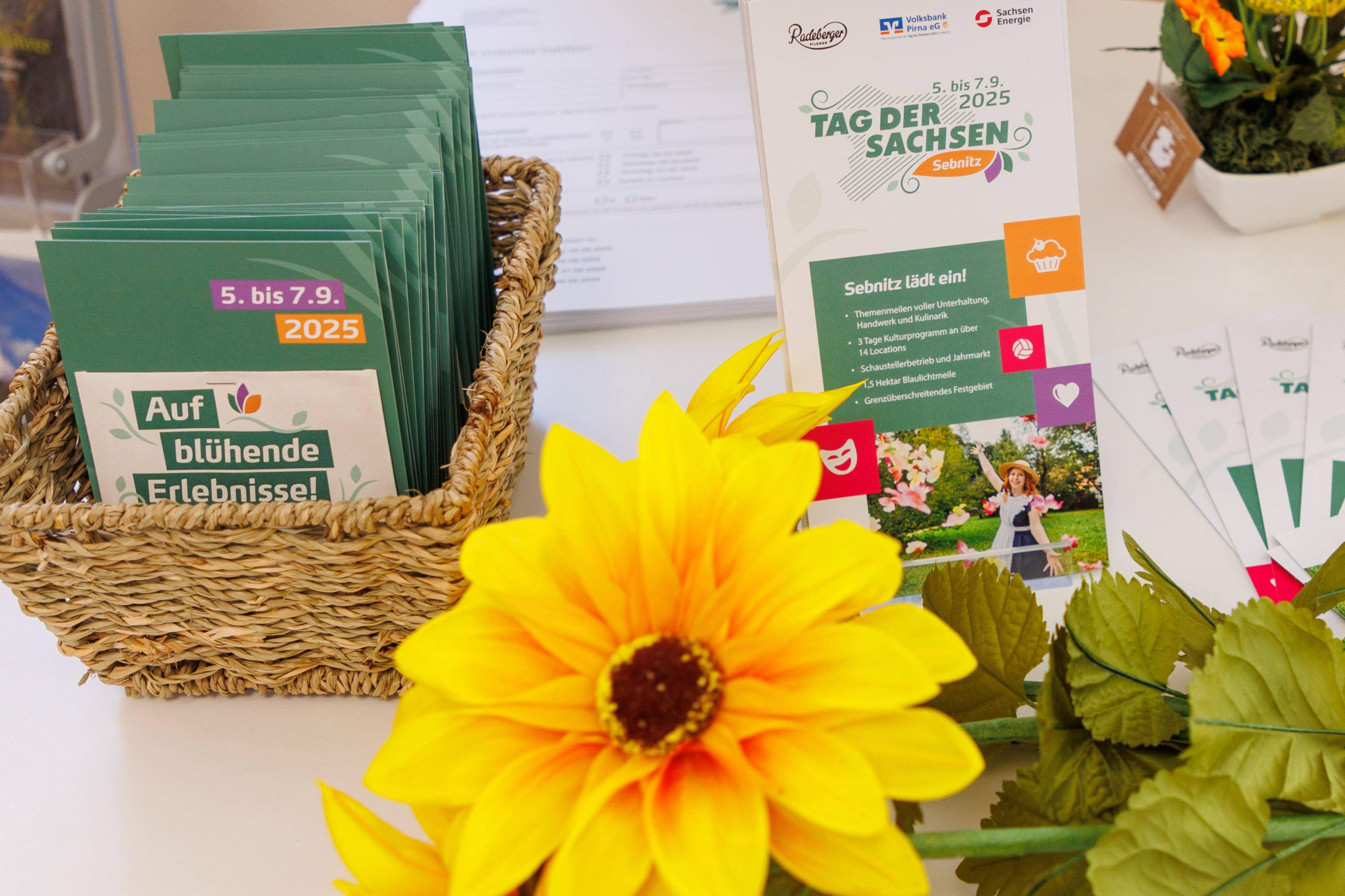 Sonnenblumensamen, die als Giveaways verteilt werden